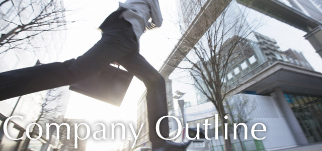 company-outline