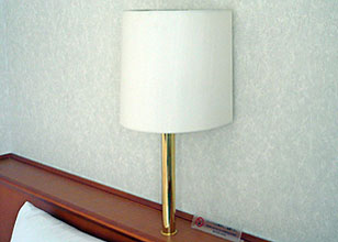 lampshade-2